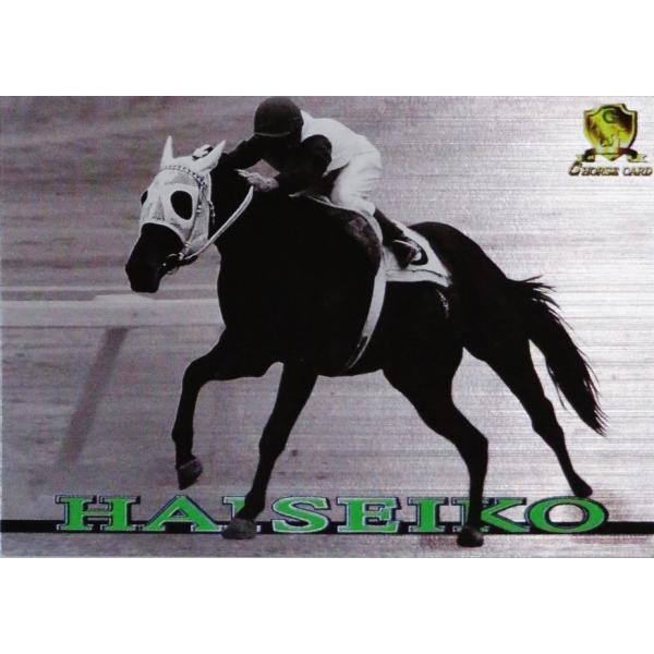 jambalaya_98gh-gt030