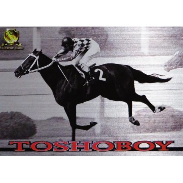 GT052 【トウショウボーイ】1998 日刊スポーツ Gホースカード