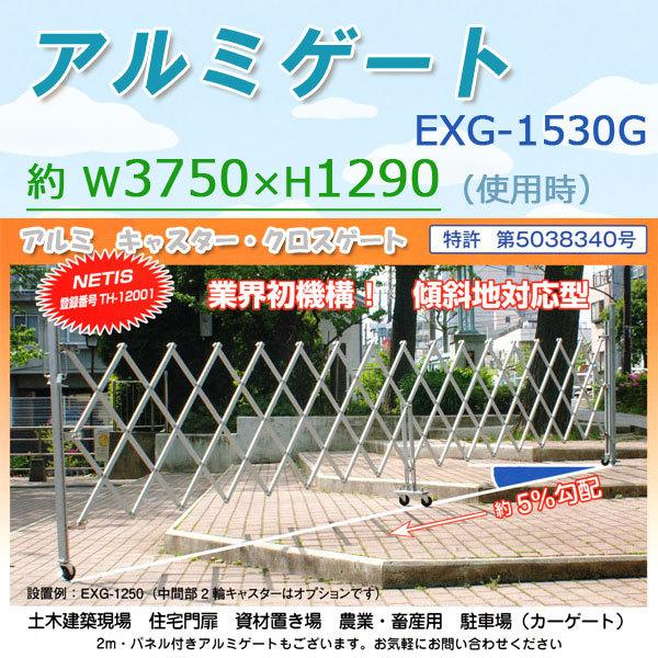 A~Q[g1.6 ő4.0 XΒniΉ EXG-1530G AR[fBI WoQ[g LX^[NX tixj͕ʔ