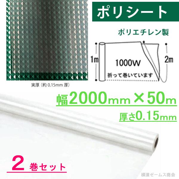 ポリシート 養生シート 幅2000mm×50m 厚さ0.15mm ２巻 床用 国産品