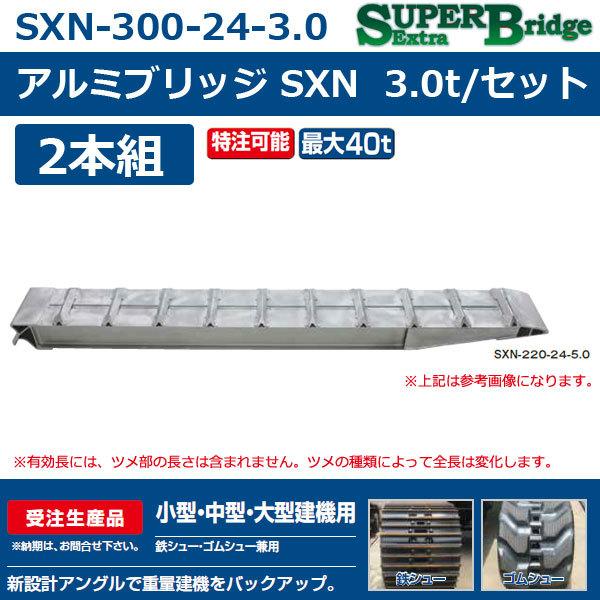 昭和ブリッジ アルミブリッジ KB-220 5.0ｔ／2本セット・240幅（鉄 ...