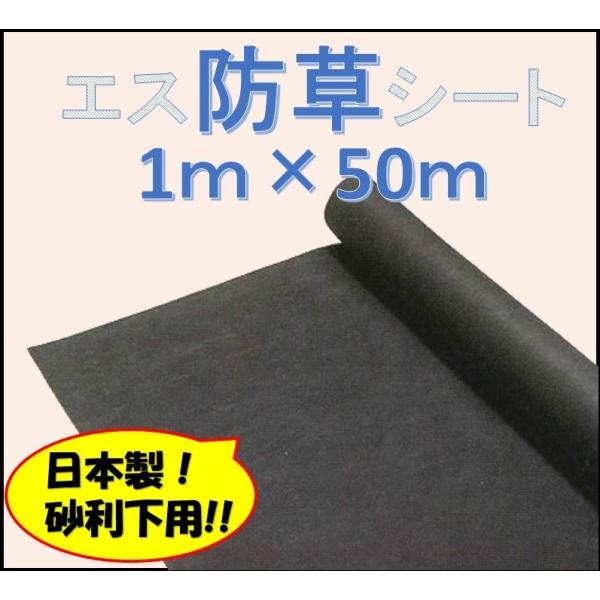 janet_eco-0033