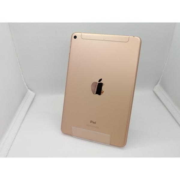 中古】Apple docomo 【SIMロック解除済み】 iPad mini（第5世代/2019