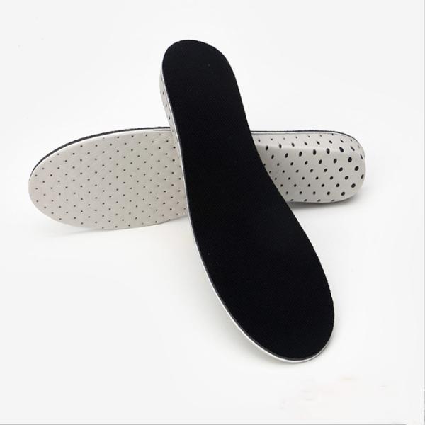 C\[ Ռz V[Nbg hL ʋC ᔽ Y fB[X 22.5-27cm y gAbv ~ 2.5cm