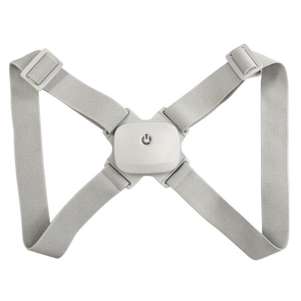 xg Lwh~ jp X}[g U p pT|[^[ xgߕ21`30cm