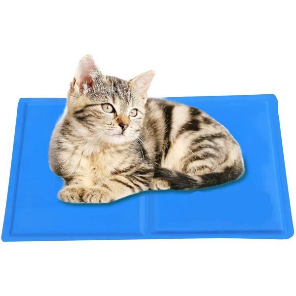 ybgЂ}bg  L  N[}bg ybg ЂV[g p}bg MǑ΍ ⊴ WF }bg ėp ysz