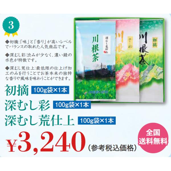 【全国送料無料】　川根茶１００g３本セット　初摘・深むし彩・深むし荒仕上　【川根茶】