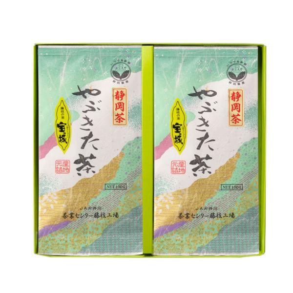 【藤枝茶】宝城100ｇ袋２本セット