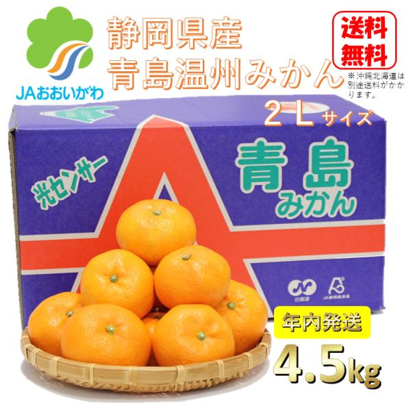 送料無料！ おすすめ 予約注文 12月発送 青島みかん 青秀 秀 2Lサイズ