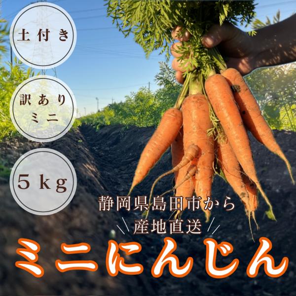 ＜訳あり＞土付き　ミニにんじん５kg箱入り