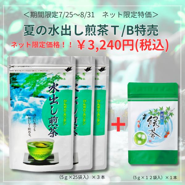 夏の水出し煎茶T/B 特売