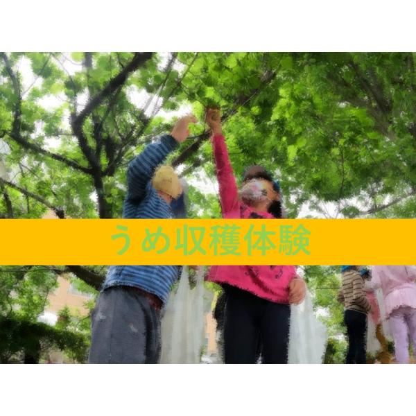 jaooigawa_taiken-002