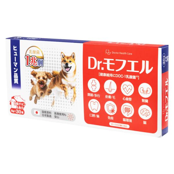 犬のプロトリプル監修 モフエル 犬用 サプリ 乳酸菌1日1兆個 関節ケア 散歩 口腔ケア 皮膚 被毛 腸内環境 心血管 脳 腎臓 関節 DHA EPA プロテオグリカン 30本