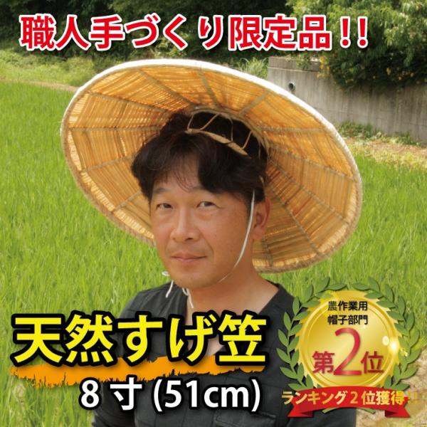 菅笠 8寸 51cm 農作業 帽子 夏 日よけ メンズ レディース 紫外線 おしゃれ ガーデニング 釣り すげがさ 五徳付き Buyee Buyee Japanese Proxy Service Buy From Japan Bot Online