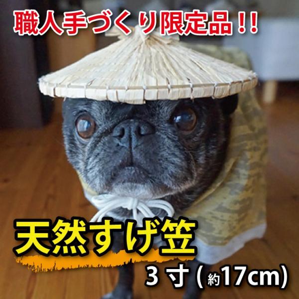 菅笠  ミニサイズ ペット用 約17cm 職人手作り限定品  質の良い福井県産天然すげ使用、伝統工芸品 おしゃれ すげがさ 国産 爆買