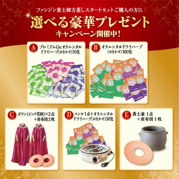 最大35,200円相当のプレゼント》 ファンジン 黄土韓方蒸しセット