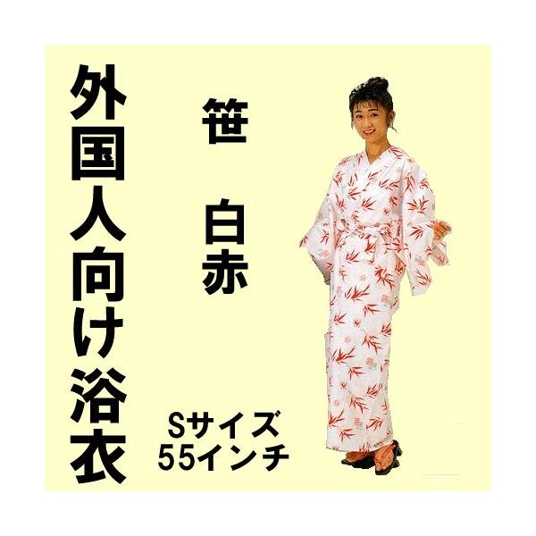 japan_y402s