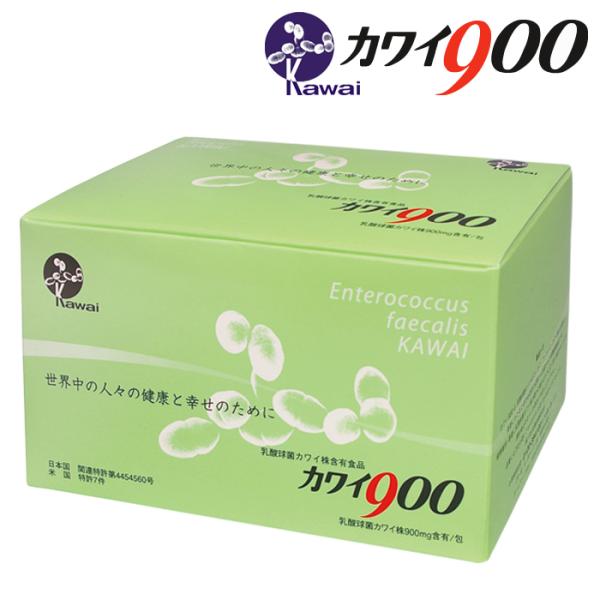 乳酸菌カワイ株900と300  【17100円相当】 Kawai カワイ900 乳酸球菌 カワイ株 900mg含有/包 100包入り 乳酸菌