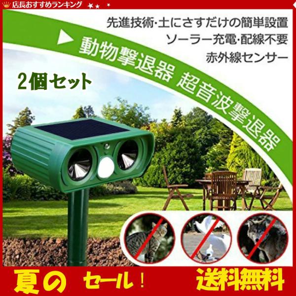 猫の撃退グッズ みんな探してる人気モノ 猫の撃退グッズ