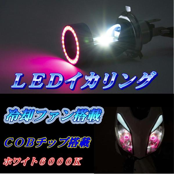 日本全国 送料無料 ピンクイカリング LED ヘッドライトバルブ H4 1個 エンジェルアイ