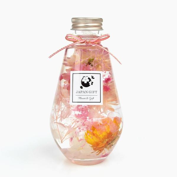 n[oE wNTiCG[MIXjAWTCisN) ϗtA CeA G vU[uht[  hCt[