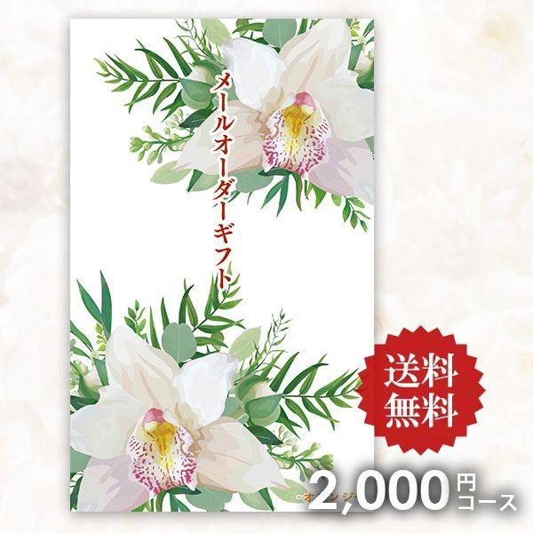 J^OMtg [I[_[Mtg IW  2000~R[X [ |PbgTCY RpNg  ቿi ei Ԃ z A  