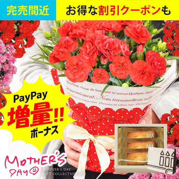 母の日 花とスイーツ 22 花 スイーツ セット プレゼント お菓子 カーネーション 鉢植え 4号鉢 アンリシャルパンティエ 花鉢 鉢花 生花 ジャパンギフト Paypayモール店 通販 Paypayモール