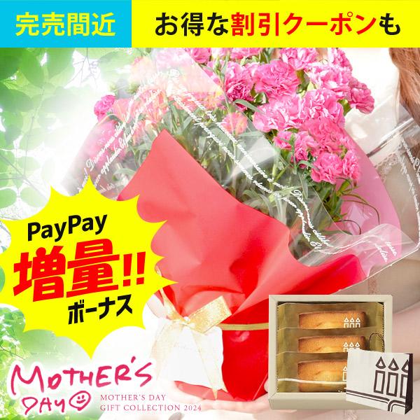 母の日 花とスイーツ 22 花 スイーツ セット プレゼント お菓子 カーネーション 鉢植え 5号鉢 アンリシャルパンティエ 花鉢 鉢花 生花 ジャパンギフト Paypayモール店 通販 Paypayモール