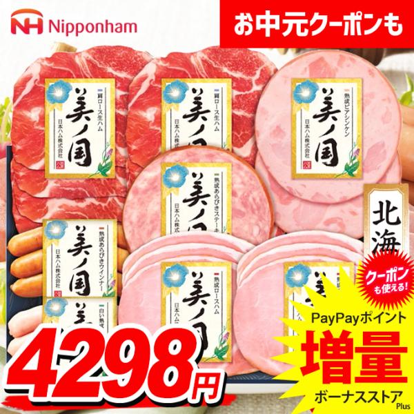 お中元 御中元 2026 ハム ギフト セット ロースハム ウインナー 日本ハム ニッポンハム 美ノ国 北海道 プレミアム 送料無料 食品 グルメ 食べ物  UKH-48