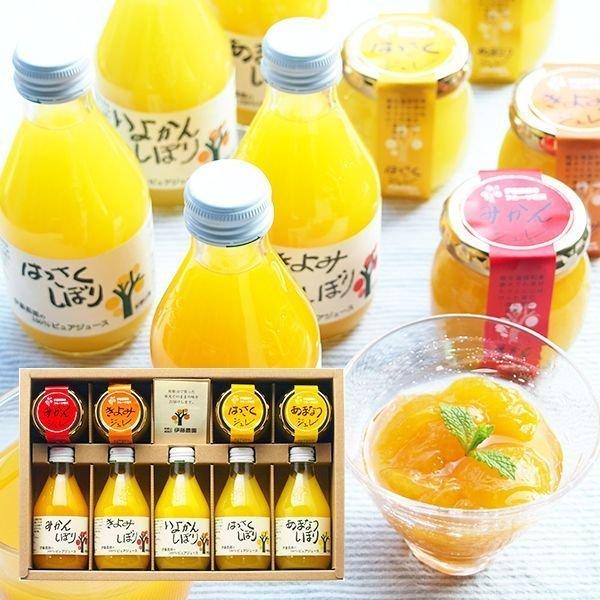 Ε Ε 2025 W[X j Ԃ XC[c Mtg 蕨 Zbg l kW[X VW ɓ_ V-113 