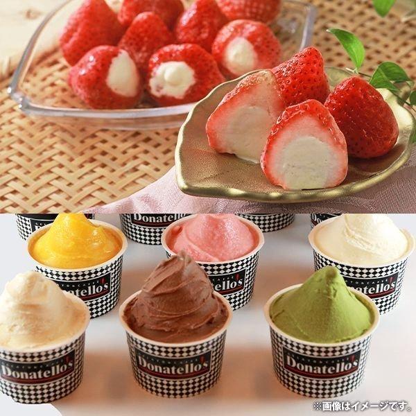 Ε Ε 2025 ACXN[ Mtg 蕨 Zbg XC[c  j j Ԃ hieEY &amp; 䕃ACX DSS-5 