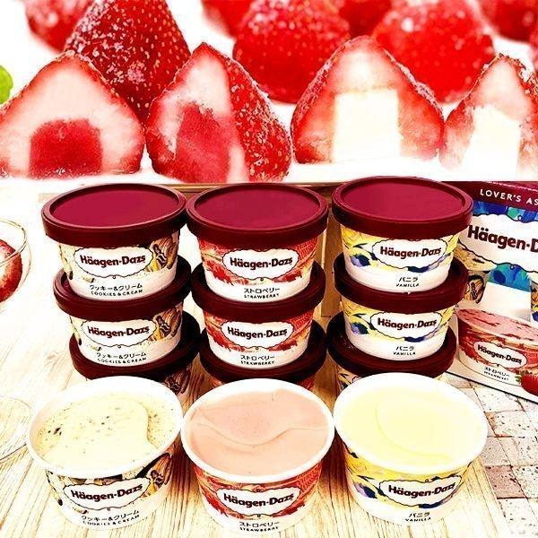 Ε Ε 2025 ACXN[ Mtg 蕨 Zbg XC[c  j j Ԃ n[Q_bc &amp; 䕃ACX S-HDR 