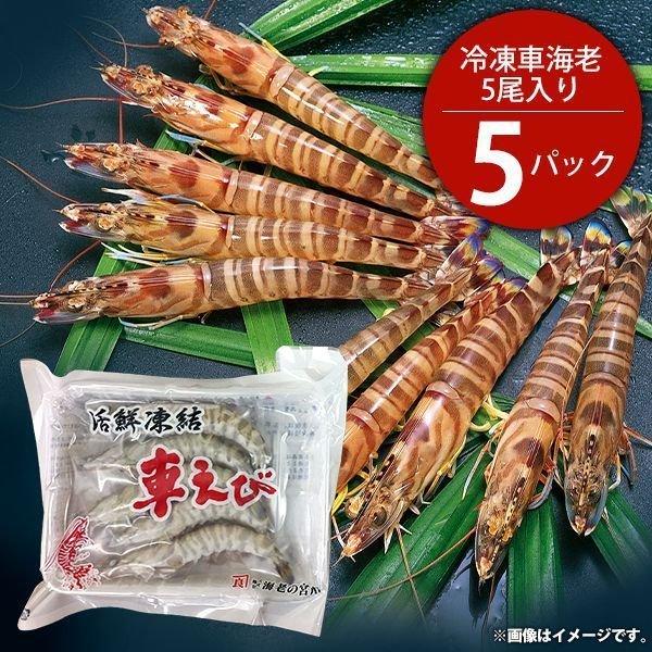 新品特売中 活クルマエビ えび 海老 生クルマ海老 約30 40匹入 1kg エビ Daisenkaku Or Jp