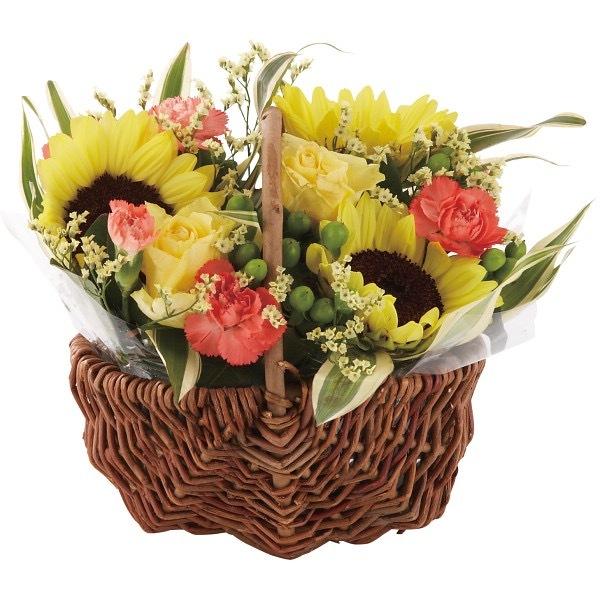 夏 花 アレンジの人気商品 通販 価格比較 価格 Com