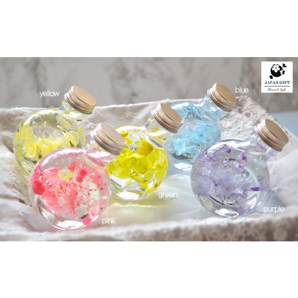ハーバリウム ピュアローズ (ネコ瓶100ml) 5カラー Pure Rose 観葉植物 