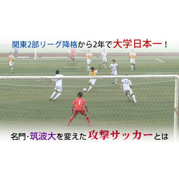 japanlaim0418_1004-s