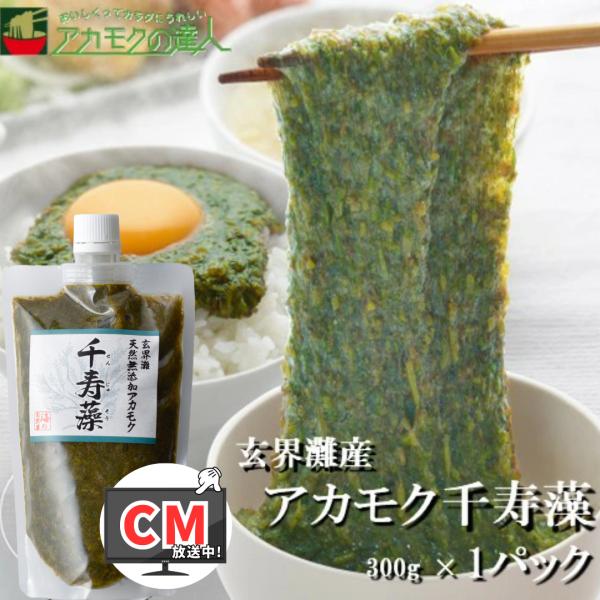 九州・玄海灘産のアカモク (ギバサ) です。-----◆アカモク：近年注目を集める「スーパー海藻」！アカモクは、ホンダワラ科の海藻のひとつで、1年間で4メートル以上も成長するパワーを持っています。北海道の一部を除いて、日本全国に分布するため...