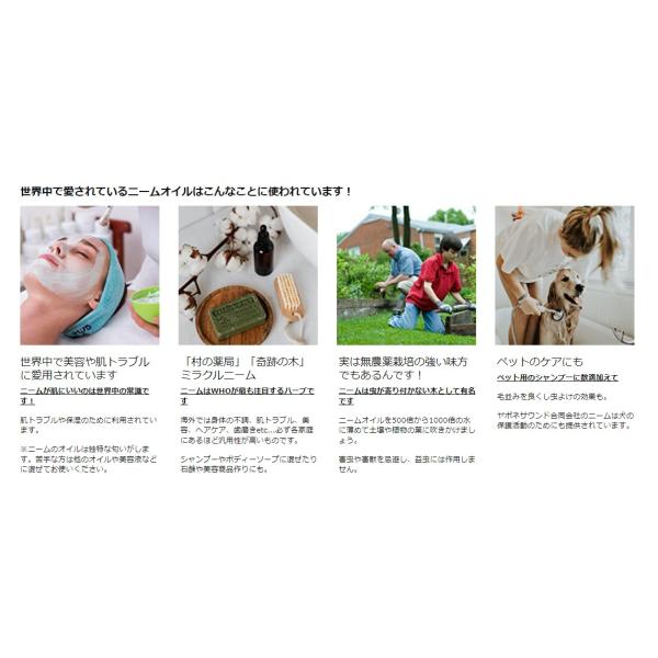 japonesound_2v-2p5c-zxfa_4_d_20260312083025