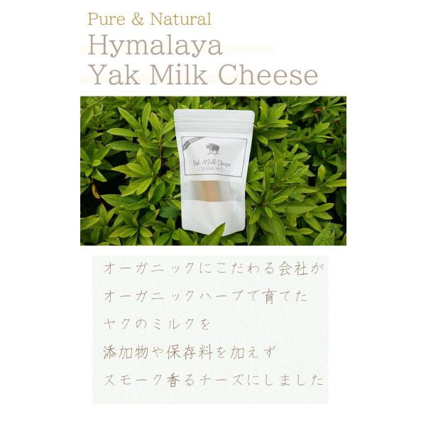 japonesound_7z-kn0f-xdc5_5_d_20260324171058