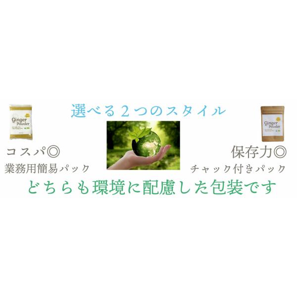 japonesound_js-gin200_3_d_20260312083205