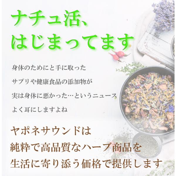 japonesound_js-slipper-p-100_2_d_20260312083659