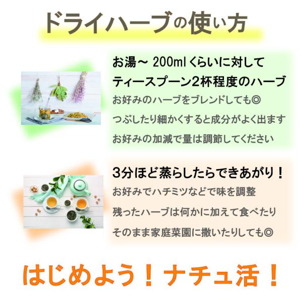 japonesound_js-slipper-p-100_4_d_20260312083700