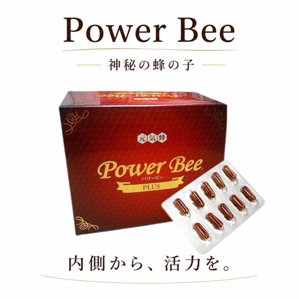 元気蜂　パワービープラス　1箱　120粒×2箱　送料込み 蜂の子 サプリ 和漢 ミツバチ 活力 元気サポート パワービープラス 120