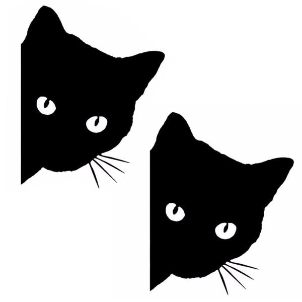 L XebJ[  oCN wbg  EH[ X}z 킢   h V[ ˂ L fJ[ ݂߂ ̂  2 JM-134