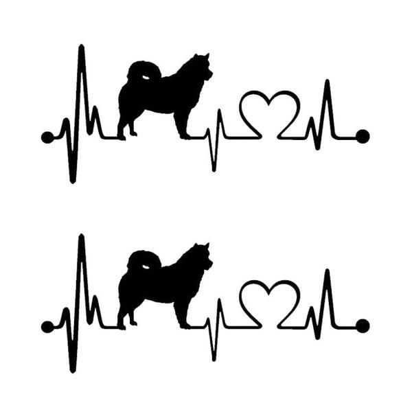  XebJ[  oCN wbg  EH[ X}z 킢   h V[ Č  n[g hbO Ck  fJ[ 2 JM-146