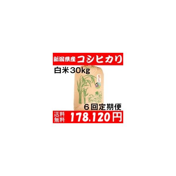 お米 30k ⑥ 新潟県産 コシヒカリ 30キロ 白米 令和6年産 (8)：新潟県産のお