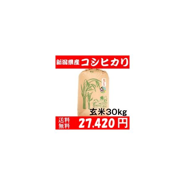 コシヒカリ お米 30kg 玄米 送料無料 新潟県糸魚川産 農家直送 令和7