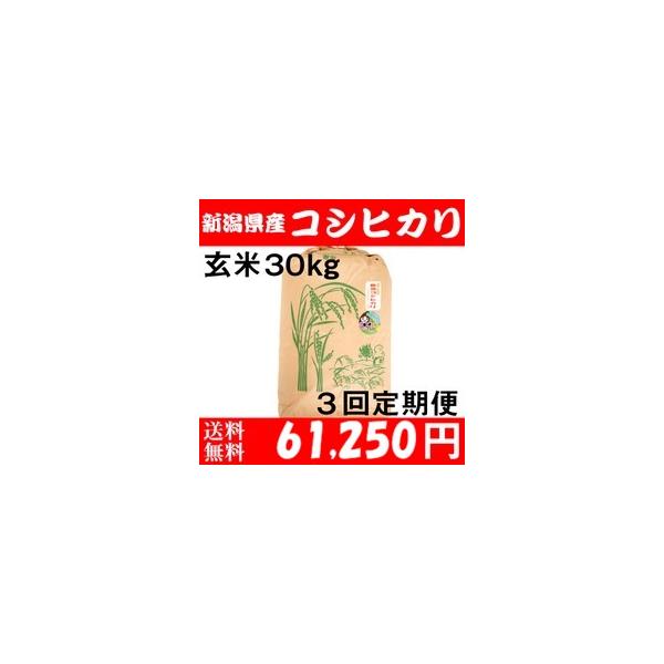 jats-store_genmai3