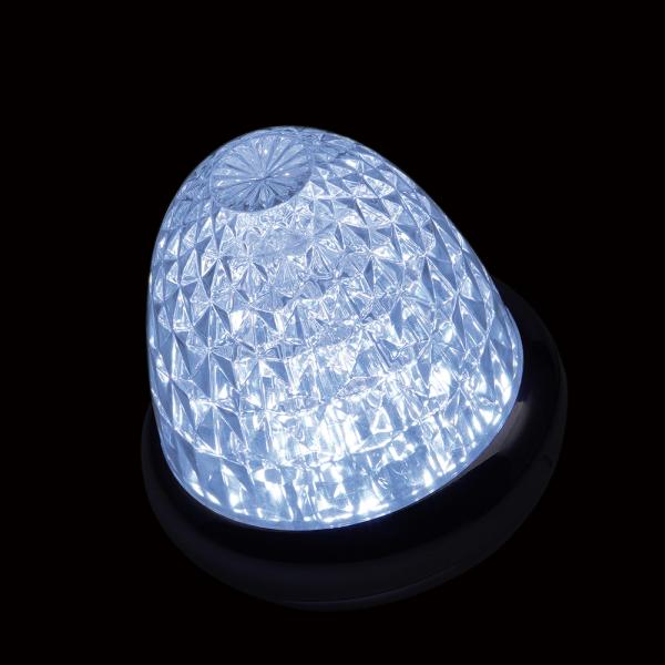 jb-store_ce517c_1_d_20260406061824