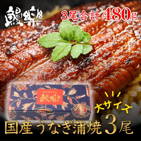 名称： 鰻楽 国産 うなぎ 蒲焼 長焼3尾 セット内容量： うなぎ蒲焼 ［長焼］3尾入 (計480g)、添付タレ 15g×3袋入、山椒 3袋入内容量 (重量)： 合計 480g原材料： ●うなぎ蒲焼：うなぎ (九州産)、醤油、味醂、発酵調味...